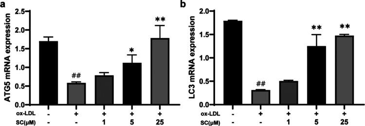 https://cdn.ncbi.nlm.nih.gov/pmc/blobs/3b43/11292807/9a7f07556c6e/ao4c03738_0007.jpg