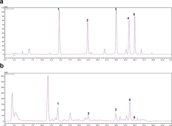 https://cdn.ncbi.nlm.nih.gov/pmc/blobs/3b43/11292807/df43de81a338/ao4c03738_0001.jpg