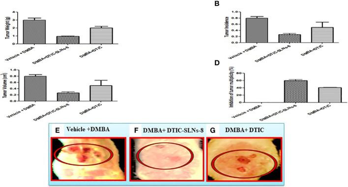 https://cdn.ncbi.nlm.nih.gov/pmc/blobs/3b46/10160449/20db32f0f42a/fonc-13-1102269-g007.jpg