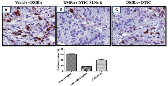 https://cdn.ncbi.nlm.nih.gov/pmc/blobs/3b46/10160449/58ab1bc411e9/fonc-13-1102269-g009.jpg