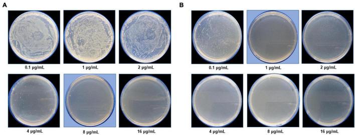 https://cdn.ncbi.nlm.nih.gov/pmc/blobs/3b46/8888960/3c0fddbed9dd/fmicb-13-820048-g007.jpg