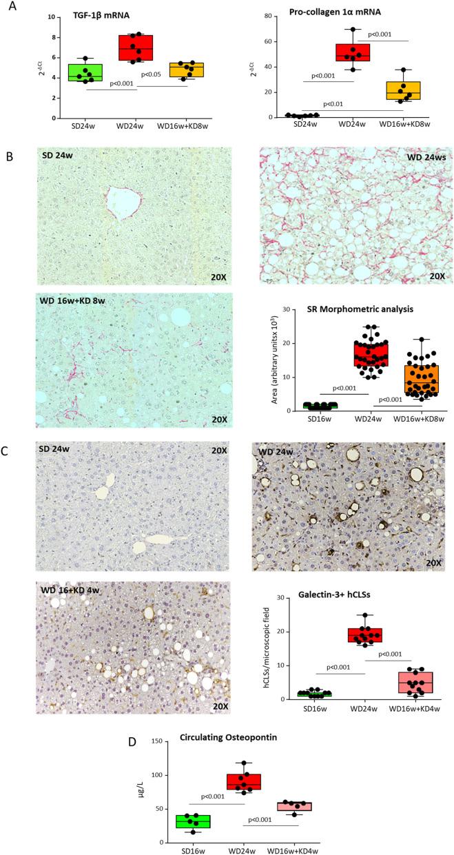 https://cdn.ncbi.nlm.nih.gov/pmc/blobs/3b47/11996634/5895820c546f/fimmu-16-1518687-g006.jpg