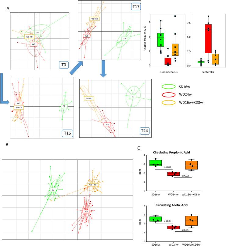 https://cdn.ncbi.nlm.nih.gov/pmc/blobs/3b47/11996634/8fadf78d036c/fimmu-16-1518687-g004.jpg