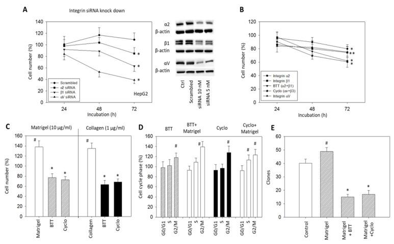 https://cdn.ncbi.nlm.nih.gov/pmc/blobs/3b4a/9139686/c274290ba198/cancers-14-02430-g004.jpg