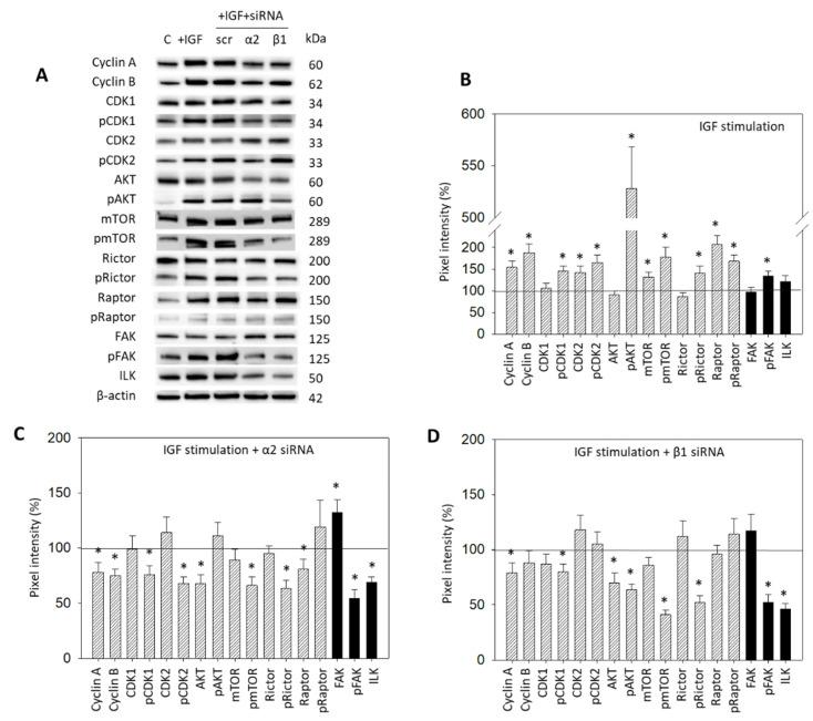 https://cdn.ncbi.nlm.nih.gov/pmc/blobs/3b4a/9139686/e0463021817e/cancers-14-02430-g007.jpg