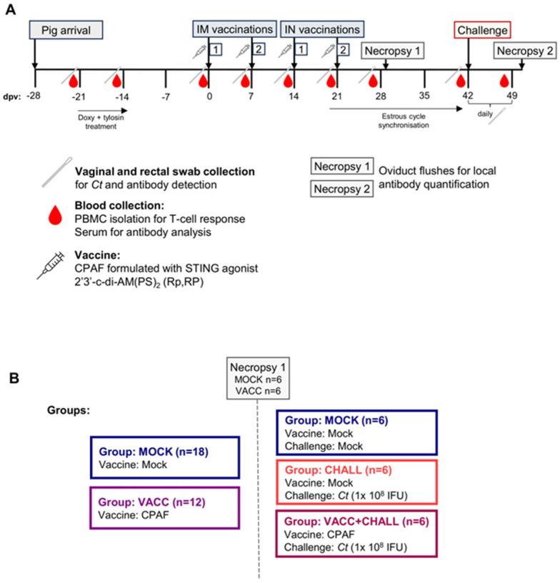 https://cdn.ncbi.nlm.nih.gov/pmc/blobs/3b4b/12115861/23abbd16c637/vaccines-13-00468-g001.jpg