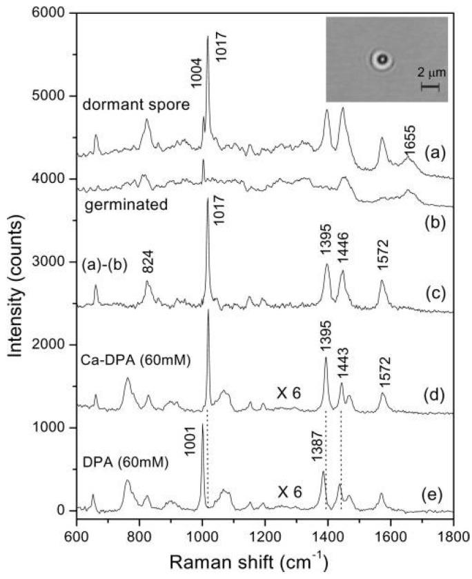 https://cdn.ncbi.nlm.nih.gov/pmc/blobs/3b4b/4570358/2c607aecec7d/sensors-15-19021-g017.jpg