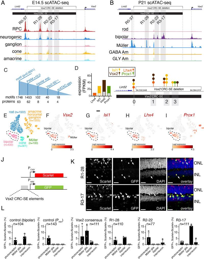 https://cdn.ncbi.nlm.nih.gov/pmc/blobs/3b4c/8752785/40ab3a9729ee/41467_2021_27924_Fig4_HTML.jpg