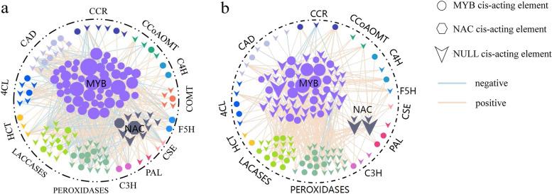 https://cdn.ncbi.nlm.nih.gov/pmc/blobs/3b4d/9400238/c2f2fa5013b1/12870_2022_3786_Fig6_HTML.jpg