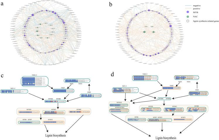 https://cdn.ncbi.nlm.nih.gov/pmc/blobs/3b4d/9400238/ed7ea6e1725d/12870_2022_3786_Fig8_HTML.jpg