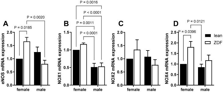 https://cdn.ncbi.nlm.nih.gov/pmc/blobs/3b50/11508232/8b841e5aa361/ijms-25-11328-g006.jpg