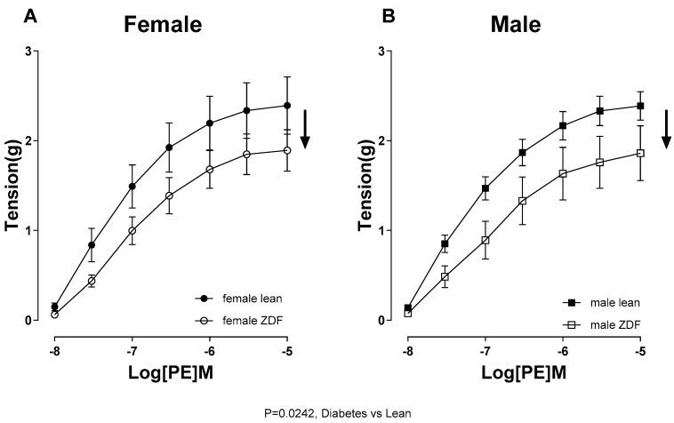 https://cdn.ncbi.nlm.nih.gov/pmc/blobs/3b50/11508232/cf120554da46/ijms-25-11328-g004.jpg