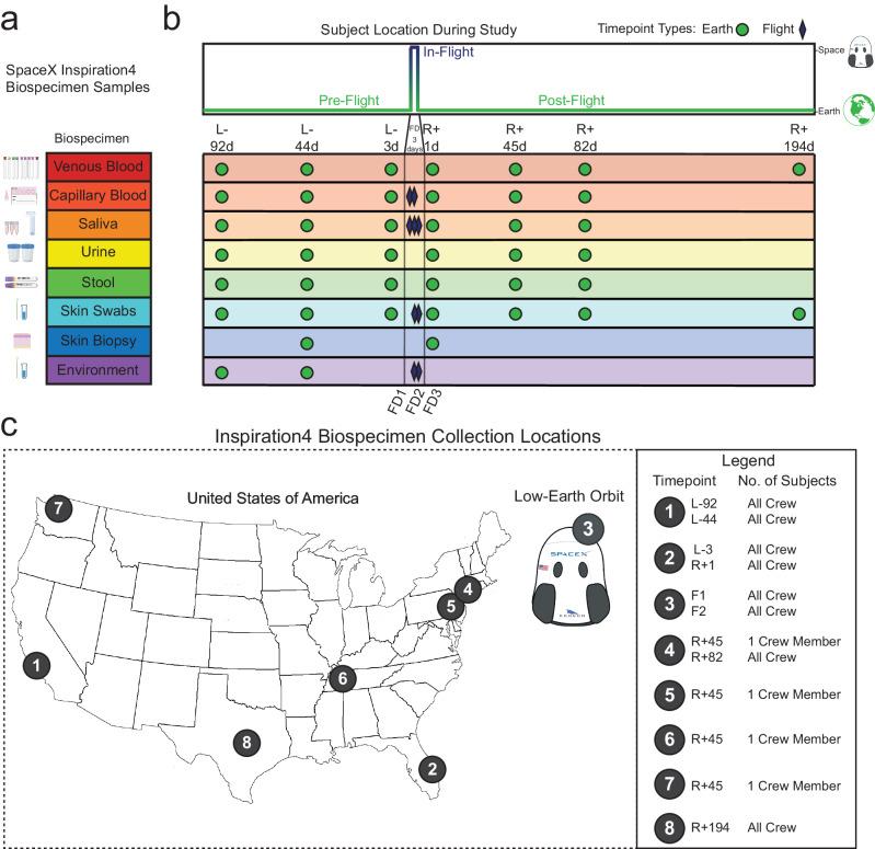 https://cdn.ncbi.nlm.nih.gov/pmc/blobs/3b51/11166662/c23551b56792/41467_2024_48806_Fig1_HTML.jpg