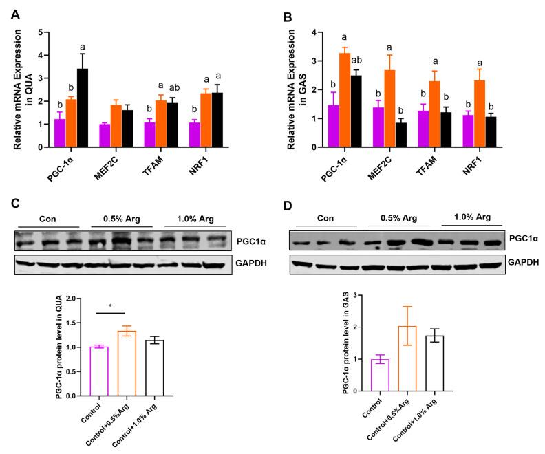 https://cdn.ncbi.nlm.nih.gov/pmc/blobs/3b54/11173221/1a9cfe280d10/ijms-25-06184-g003.jpg