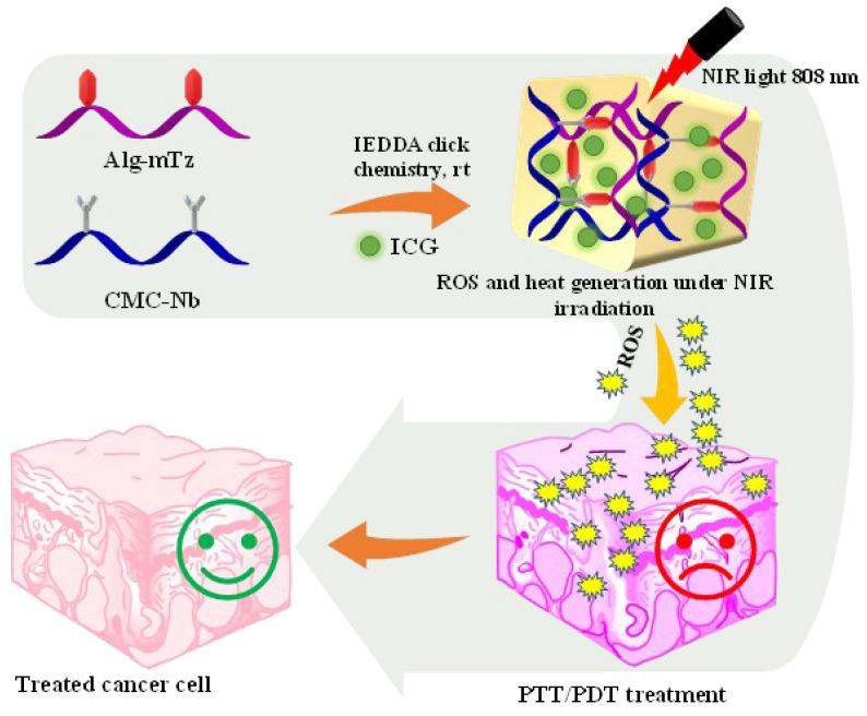 https://cdn.ncbi.nlm.nih.gov/pmc/blobs/3b55/10742702/3428169fa42a/gels-09-00961-sch001.jpg