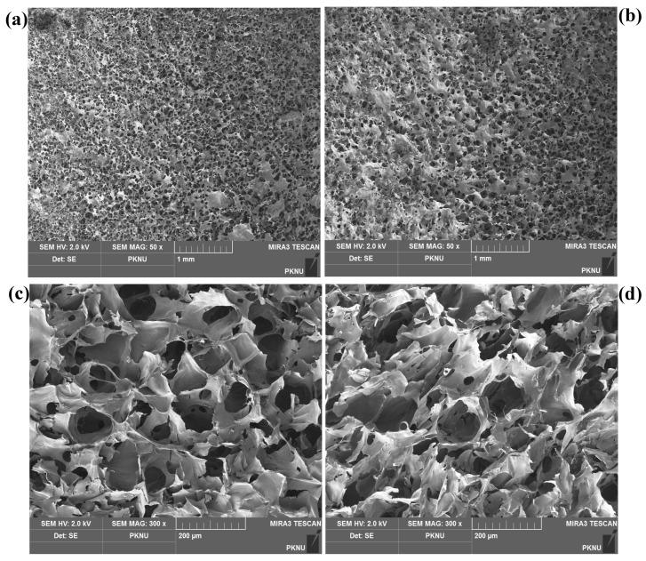 https://cdn.ncbi.nlm.nih.gov/pmc/blobs/3b55/10742702/e57a00904fe7/gels-09-00961-g005.jpg