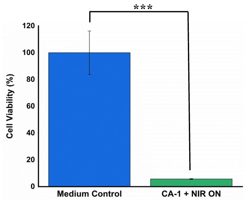 https://cdn.ncbi.nlm.nih.gov/pmc/blobs/3b55/10742702/fbecb7ca1b97/gels-09-00961-g010.jpg