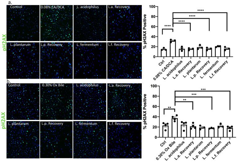 https://cdn.ncbi.nlm.nih.gov/pmc/blobs/3b58/10376144/a5b386f5b744/antioxidants-12-01314-g007.jpg