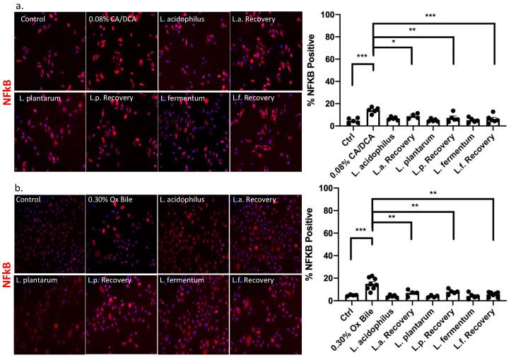 https://cdn.ncbi.nlm.nih.gov/pmc/blobs/3b58/10376144/e01a679247c5/antioxidants-12-01314-g004.jpg