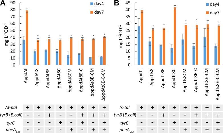 https://cdn.ncbi.nlm.nih.gov/pmc/blobs/3b5a/10875765/b367061d320e/12934_2024_2330_Fig6_HTML.jpg