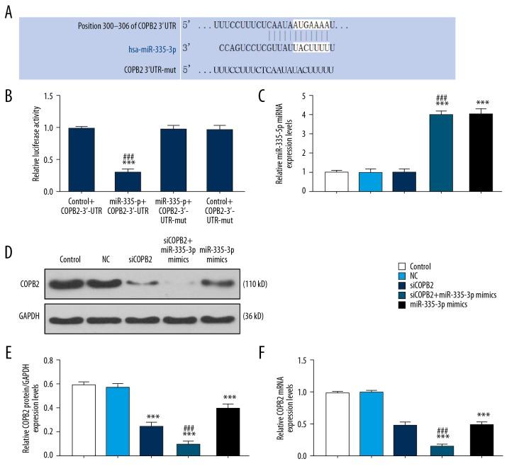 https://cdn.ncbi.nlm.nih.gov/pmc/blobs/3b5b/7006366/429483636cc4/medscimonit-26-e918382-g002.jpg