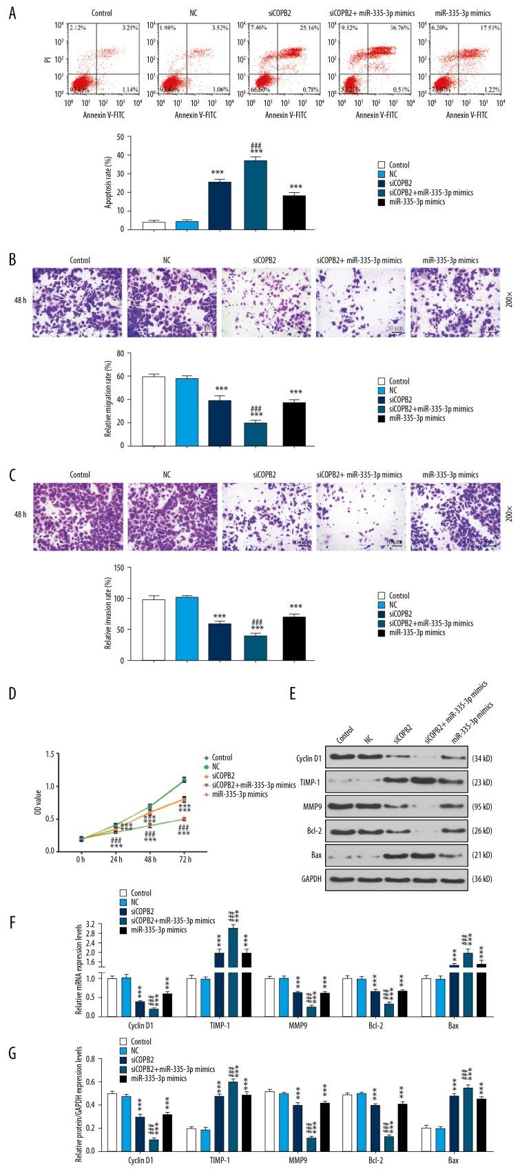 https://cdn.ncbi.nlm.nih.gov/pmc/blobs/3b5b/7006366/952ac06a29fd/medscimonit-26-e918382-g003.jpg