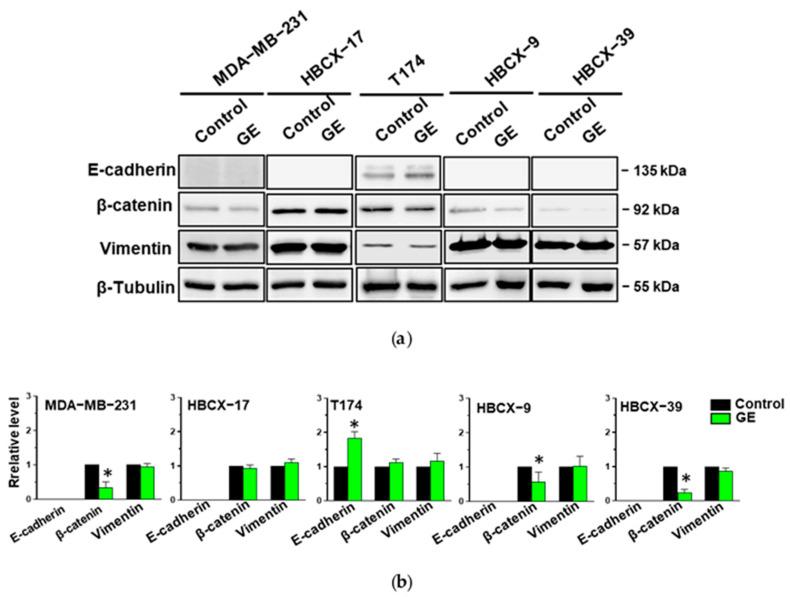 https://cdn.ncbi.nlm.nih.gov/pmc/blobs/3b5c/11119207/aab32630d570/cells-13-00822-g007.jpg