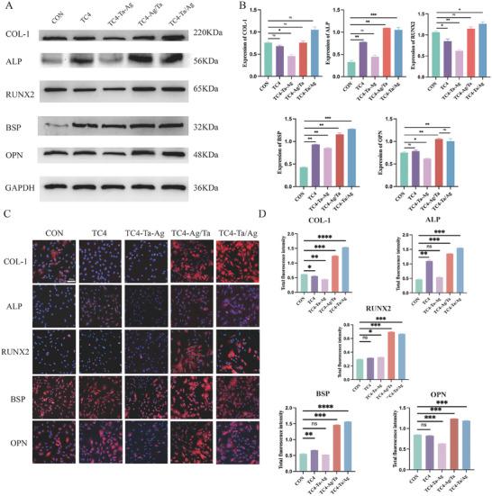 https://cdn.ncbi.nlm.nih.gov/pmc/blobs/3b5d/11874649/78408a6b0af8/ADHM-14-0-g002.jpg
