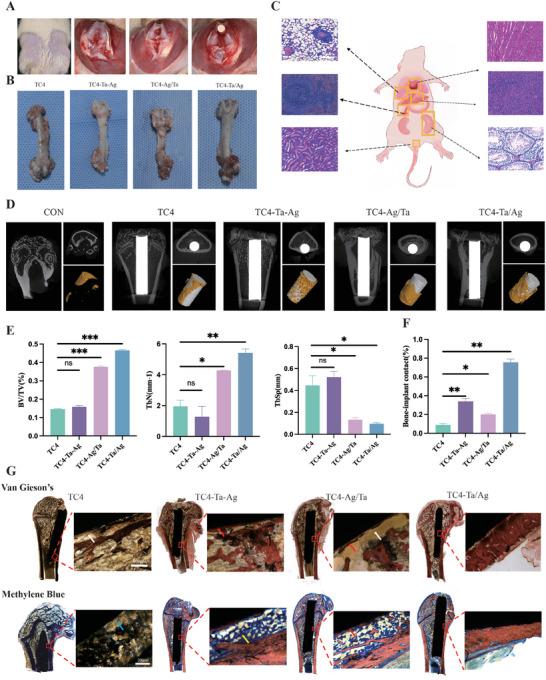https://cdn.ncbi.nlm.nih.gov/pmc/blobs/3b5d/11874649/a6a31f0355b0/ADHM-14-0-g009.jpg