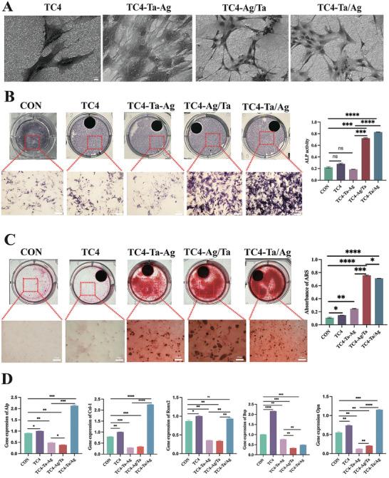 https://cdn.ncbi.nlm.nih.gov/pmc/blobs/3b5d/11874649/c9df3c599a04/ADHM-14-0-g006.jpg