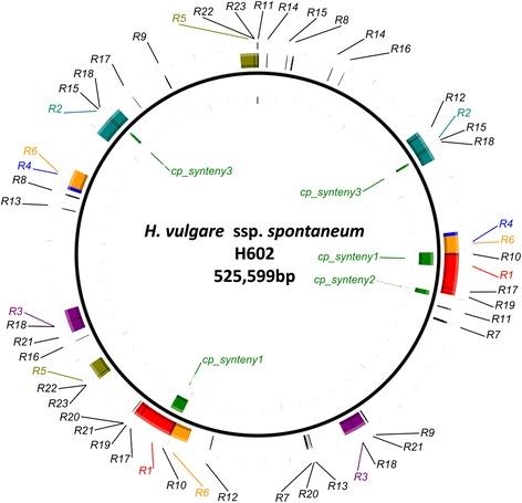 https://cdn.ncbi.nlm.nih.gov/pmc/blobs/3b5e/5078923/9ec3c1915a96/12864_2016_3159_Fig2_HTML.jpg