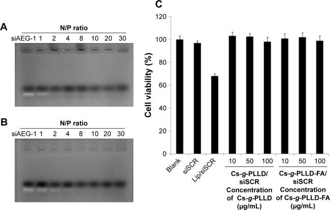https://cdn.ncbi.nlm.nih.gov/pmc/blobs/3b5f/5811182/0fa3c4e960e1/ijn-13-857Fig3.jpg