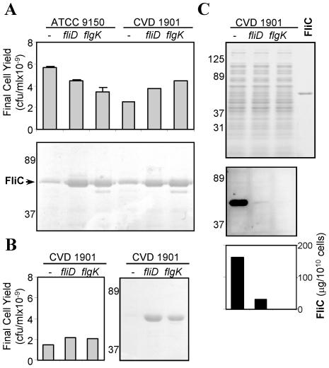 https://cdn.ncbi.nlm.nih.gov/pmc/blobs/3b60/3206010/3cc5026e4cc0/pntd.0001373.g002.jpg