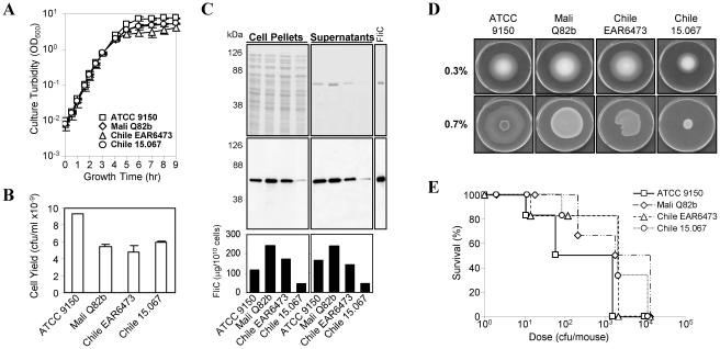 https://cdn.ncbi.nlm.nih.gov/pmc/blobs/3b60/3206010/4713aa5e9142/pntd.0001373.g001.jpg