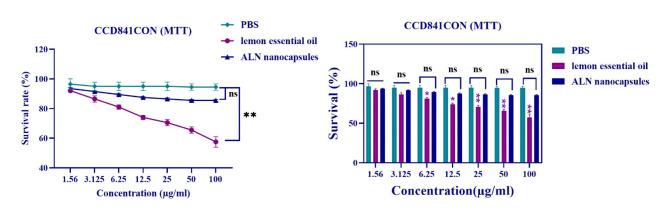 https://cdn.ncbi.nlm.nih.gov/pmc/blobs/3b62/11724895/72ba4fa1fb00/41598_2024_81948_Fig5_HTML.jpg