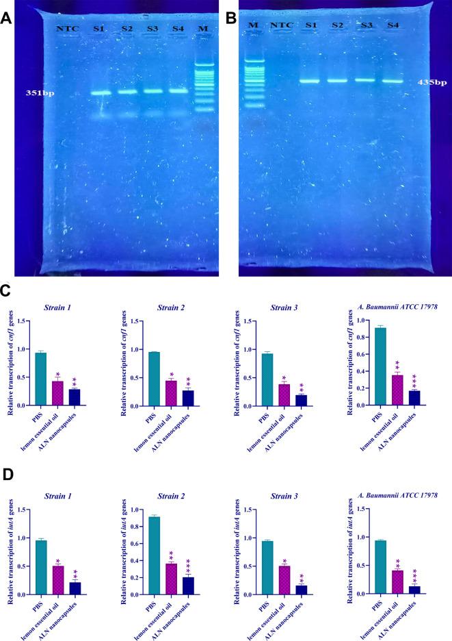 https://cdn.ncbi.nlm.nih.gov/pmc/blobs/3b62/11724895/9c848e06ab31/41598_2024_81948_Fig4_HTML.jpg
