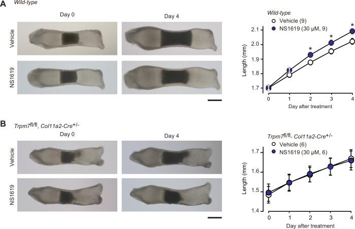 https://cdn.ncbi.nlm.nih.gov/pmc/blobs/3b64/8923661/20d35ba86076/elife-71931-fig8.jpg