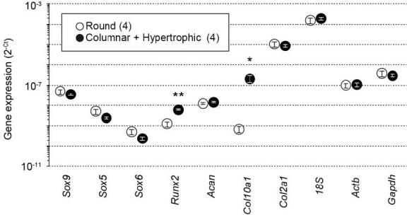 https://cdn.ncbi.nlm.nih.gov/pmc/blobs/3b64/8923661/295922a26105/elife-71931-sa2-fig1.jpg