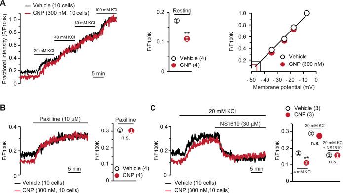 https://cdn.ncbi.nlm.nih.gov/pmc/blobs/3b64/8923661/350750d23d03/elife-71931-fig4.jpg
