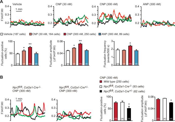 https://cdn.ncbi.nlm.nih.gov/pmc/blobs/3b64/8923661/9972386c9ca6/elife-71931-fig1.jpg