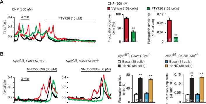 https://cdn.ncbi.nlm.nih.gov/pmc/blobs/3b64/8923661/a16ea0d0567b/elife-71931-fig5.jpg
