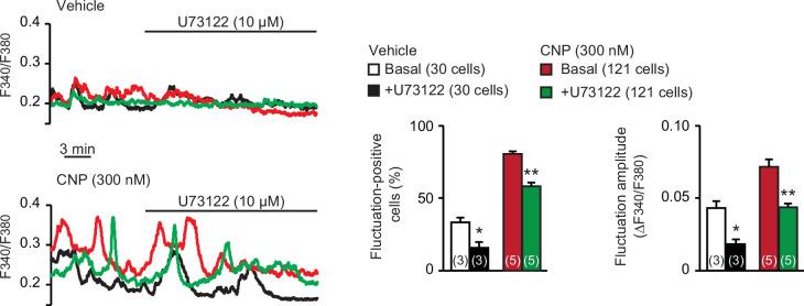 https://cdn.ncbi.nlm.nih.gov/pmc/blobs/3b64/8923661/c0325ed256e4/elife-71931-fig3-figsupp1.jpg