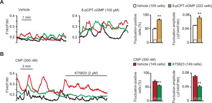 https://cdn.ncbi.nlm.nih.gov/pmc/blobs/3b64/8923661/ca4989b5c446/elife-71931-fig2.jpg