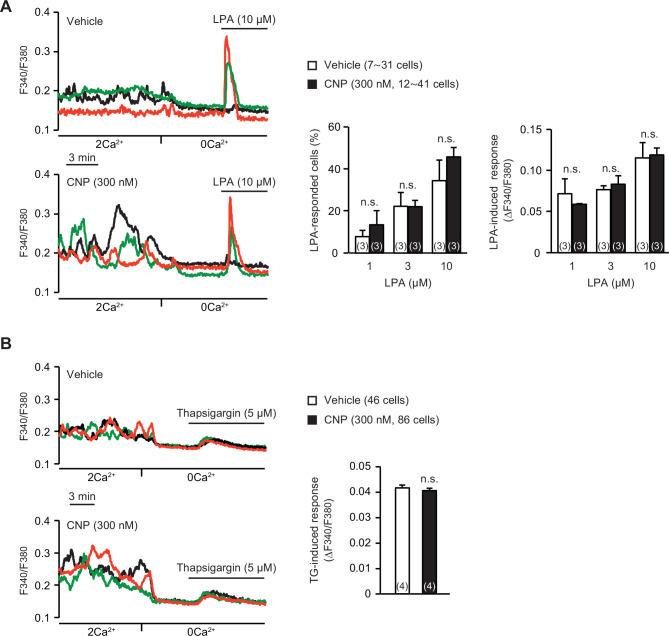 https://cdn.ncbi.nlm.nih.gov/pmc/blobs/3b64/8923661/cb556f857843/elife-71931-fig3-figsupp2.jpg