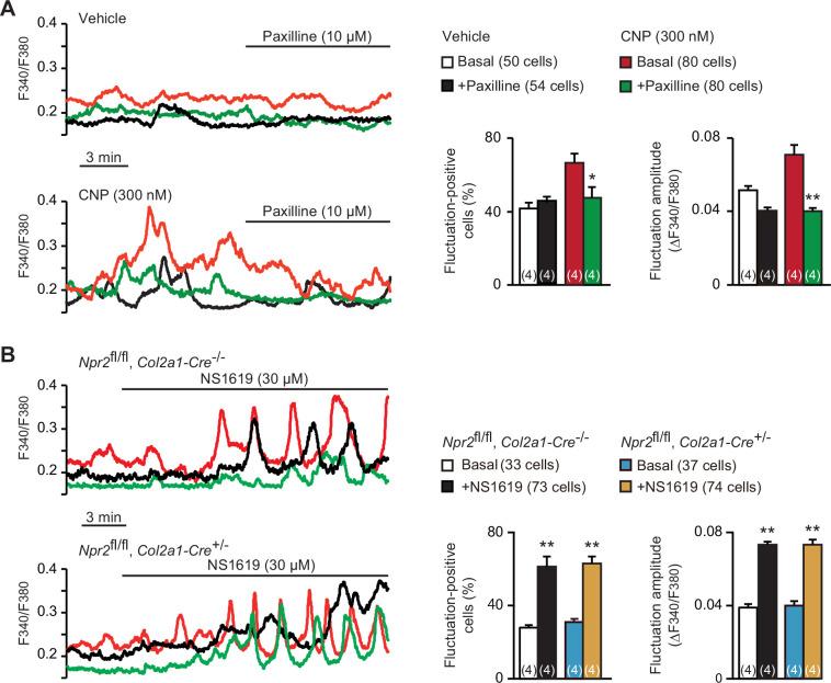 https://cdn.ncbi.nlm.nih.gov/pmc/blobs/3b64/8923661/d38880402890/elife-71931-fig3.jpg