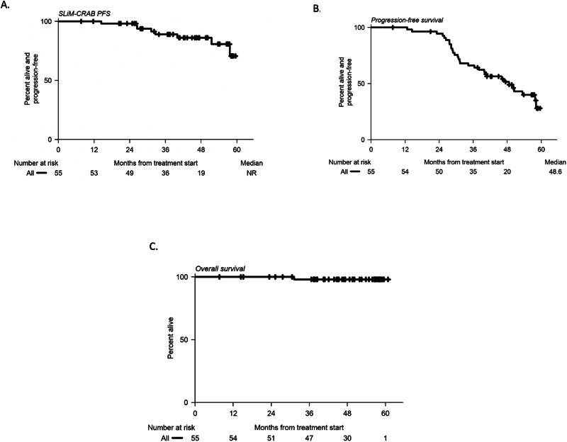 https://cdn.ncbi.nlm.nih.gov/pmc/blobs/3b65/11698957/2e264fff92fe/41467_2024_55308_Fig3_HTML.jpg