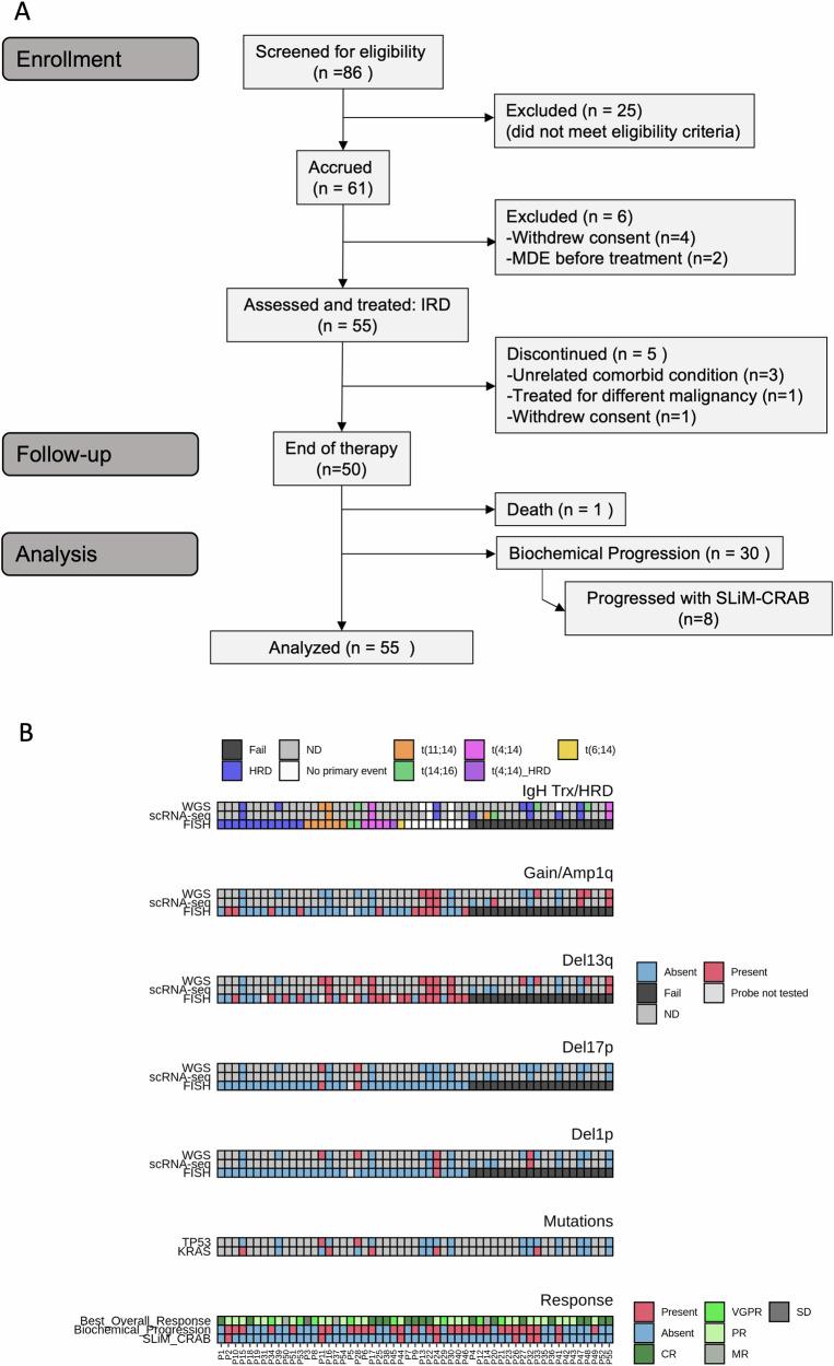 https://cdn.ncbi.nlm.nih.gov/pmc/blobs/3b65/11698957/3d27087a013a/41467_2024_55308_Fig1_HTML.jpg