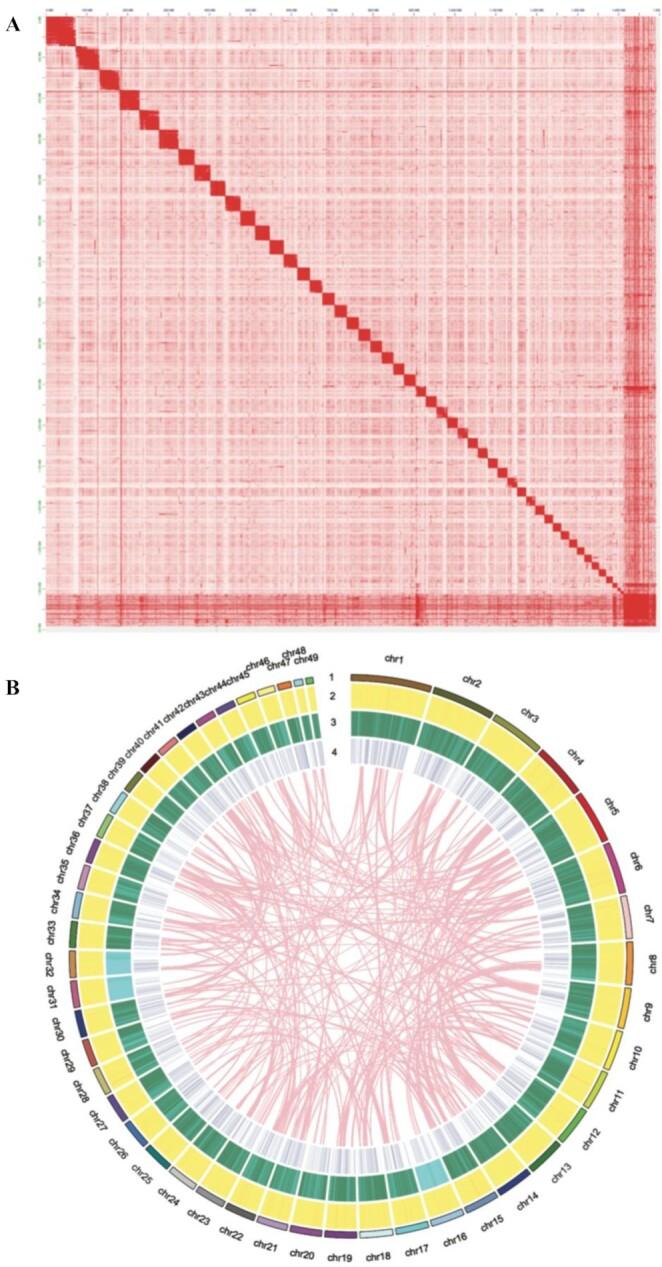 https://cdn.ncbi.nlm.nih.gov/pmc/blobs/3b68/7812440/cedc67e5cfdf/giaa160fig2.jpg