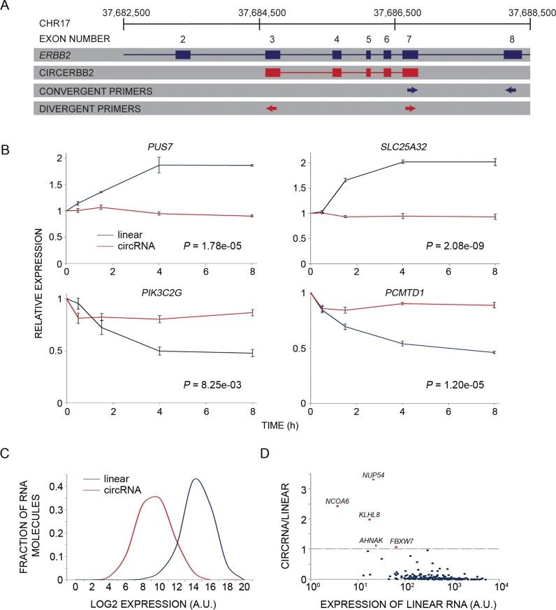 https://cdn.ncbi.nlm.nih.gov/pmc/blobs/3b6a/4756822/1198347f9436/gkv1367fig2.jpg