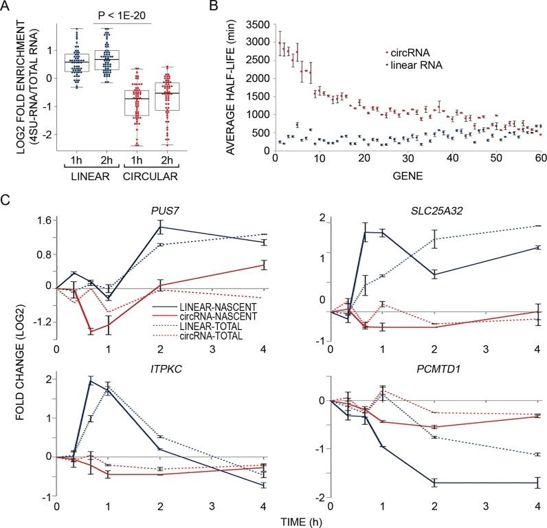 https://cdn.ncbi.nlm.nih.gov/pmc/blobs/3b6a/4756822/a0aec0d2f686/gkv1367fig3.jpg